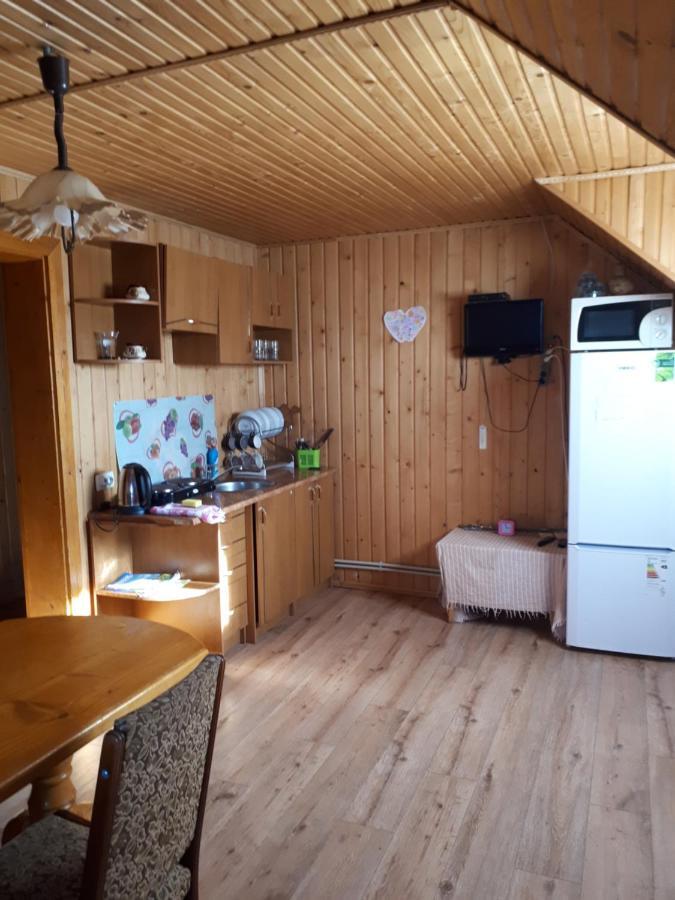 Hotel Ансол à Vorokhta Extérieur photo